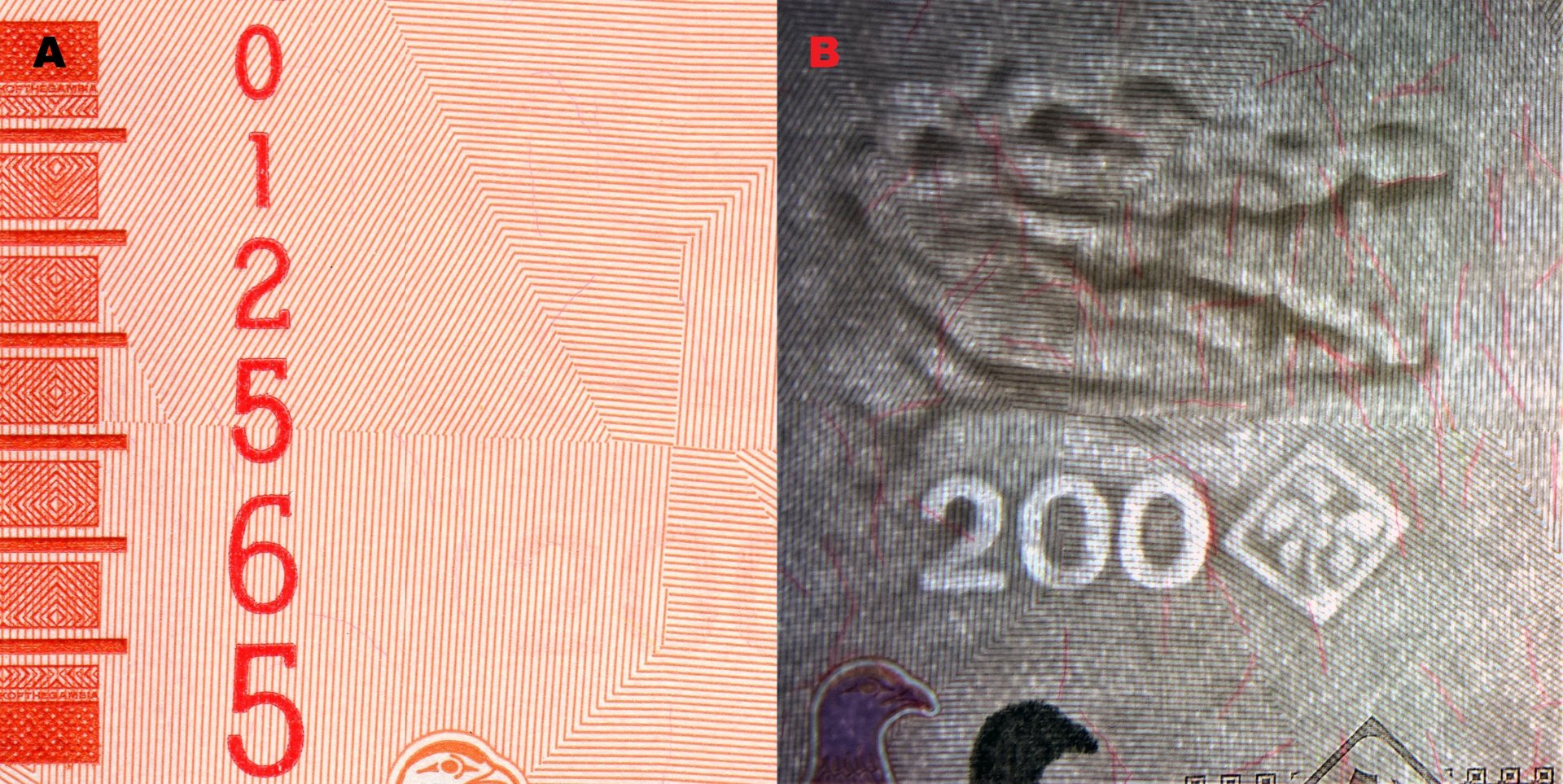 Obr.1. A) Hmatová značka pro nevidomé na levém okraji. B) Nominální obrazový vodoznak vpravo hledící hlavy krokodýla s otevřenou tlamou, kosočtverec s palmou a nominál "200" (elektrotyp). Difuzně četná červená bezpečnostní vlákna