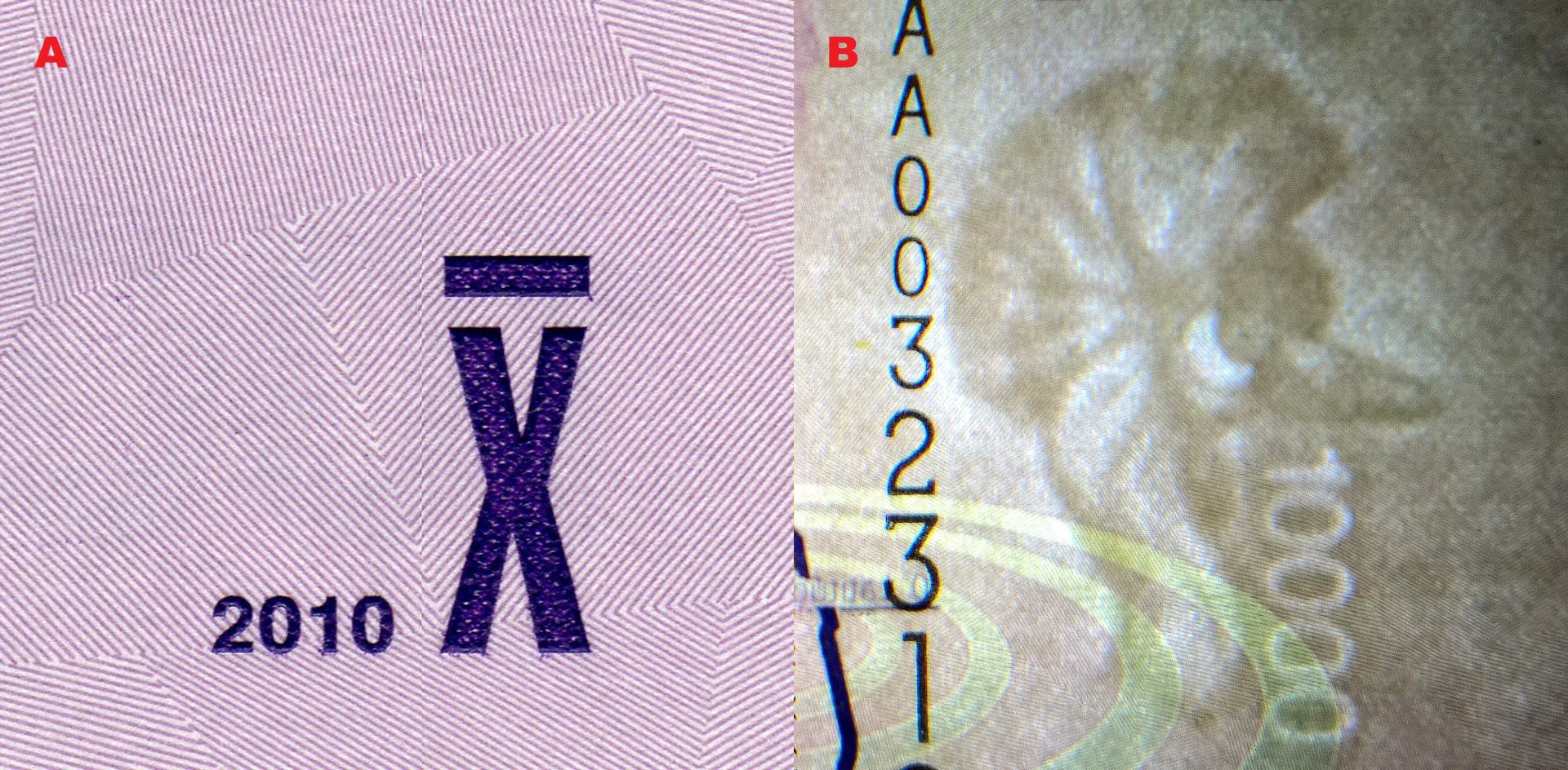 Obrázek 6. A Pohmatová značka. B) Faunistický vodoznak hlavy jeřába královského (Balearica regulorum gibbericeps) a nominál (elektrotype)