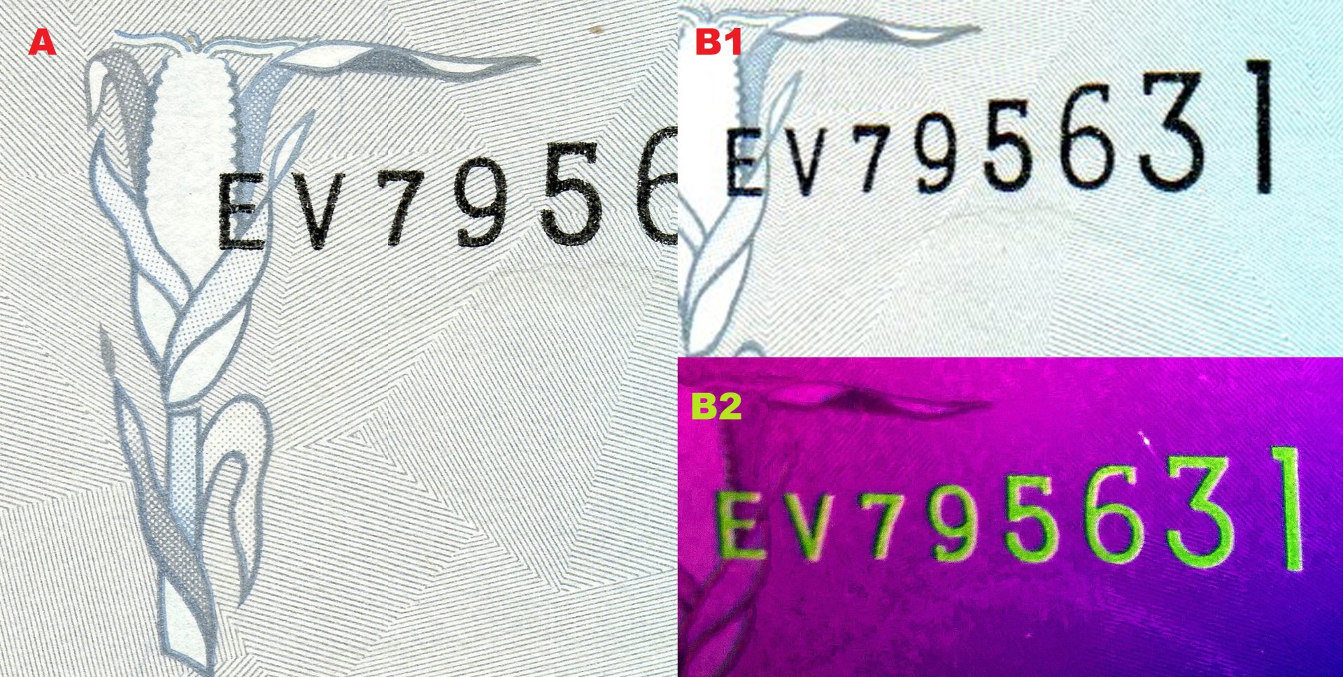 Obr. 1. A) Soutisková značka v podobě klasu kukuřice, v podkladu patrné kárování. B1) Ascendentní sériové číslo. B2) Totéž číslo pod UV nasvícením.