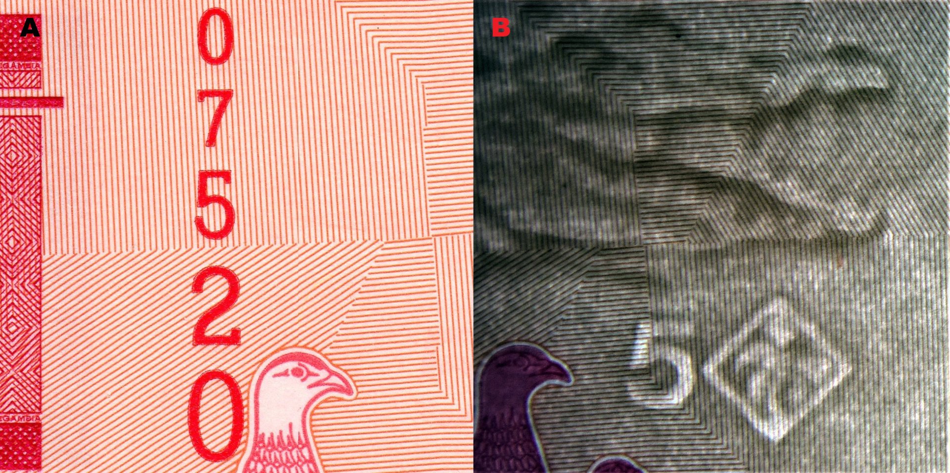 1. A) Hmatová značka pro nevidomé na levém okraji. B) Nominální obrazový vodoznak vpravo hledící hlavy krokodýla s otevřenou tlamou, kosočtverec s palmou a nominál "5" (elektrotyp)