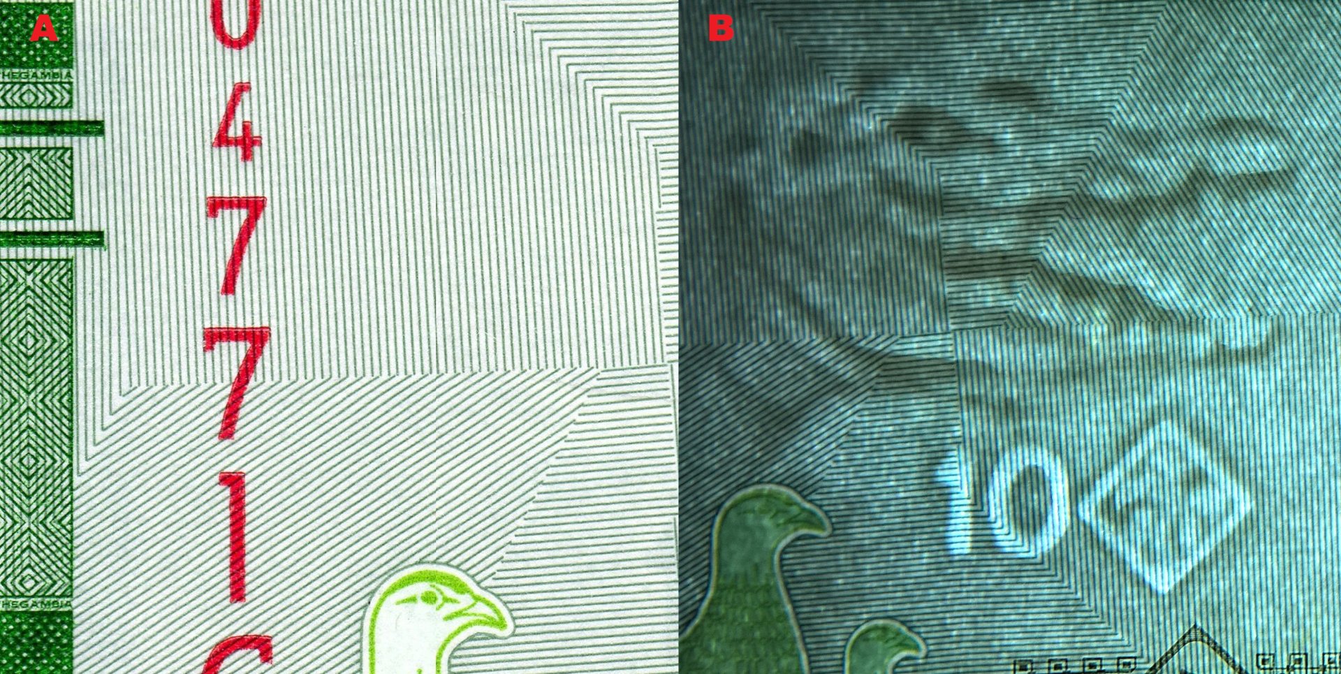 1. A) Hmatová značka pro nevidomé na levém okraji. B) Nominální obrazový vodoznak vpravo hledící hlavy krokodýla s otevřenou tlamou, kosočtverec s palmou a nominál "10" (elektrotyp)