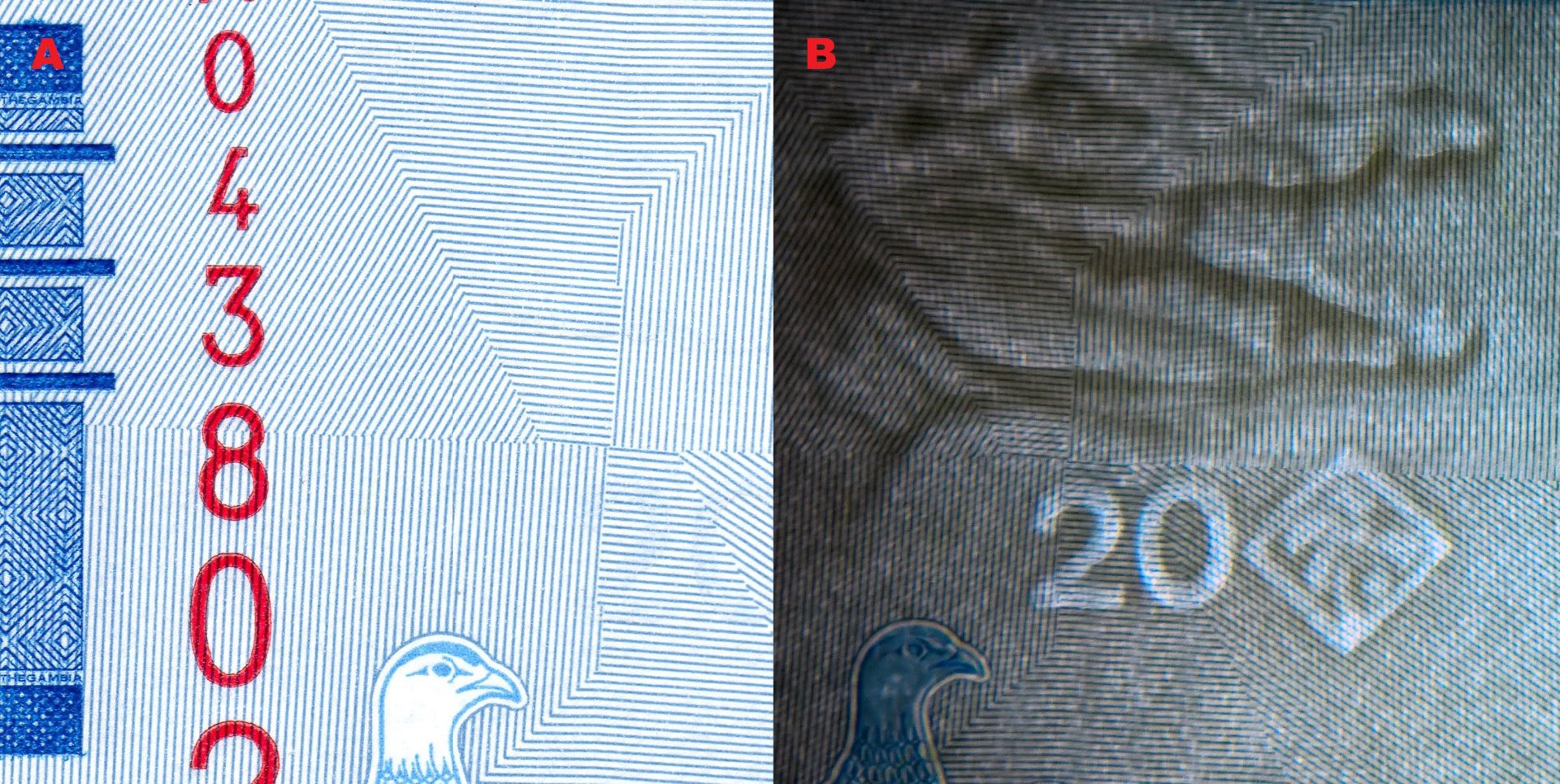 1. A) Hmatová značka pro nevidomé na levém okraji. B) Nominální obrazový vodoznak vpravo hledící hlavy krokodýla s otevřenou tlamou, kosočtverec s palmou a nominál "20" (elektrotyp)