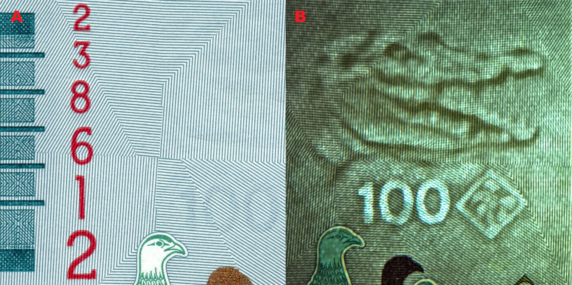 Obr.1 A) Hmatová značka pro nevidomé na levém okraji. B) Nominální obrazový vodoznak vpravo hledící hlavy krokodýla s otevřenou tlamou, kosočtverec s palmou a nominál "100" (elektrotyp)