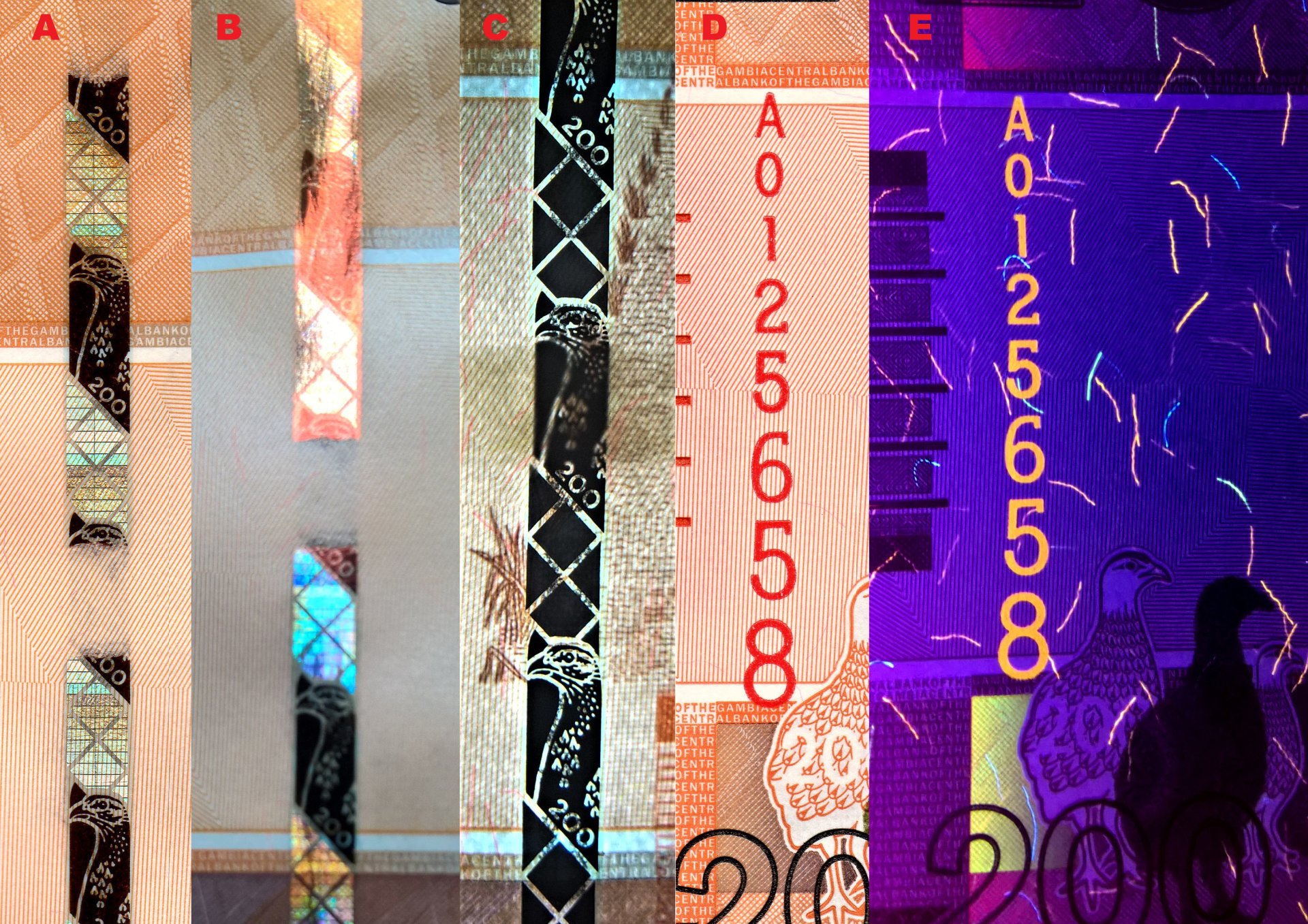 Obr.7 A) Intermitentní bezpečnostní proužek se změnou barev. B) Po úhlem 45° patrná výrazná metalizace „S“ článků. C) Stejný proužek v protisvětle se zobrazuje jako kompaktní. D) Červené vertikálně orientované ascendentní sériové číslo E) Pod UV nasvícení