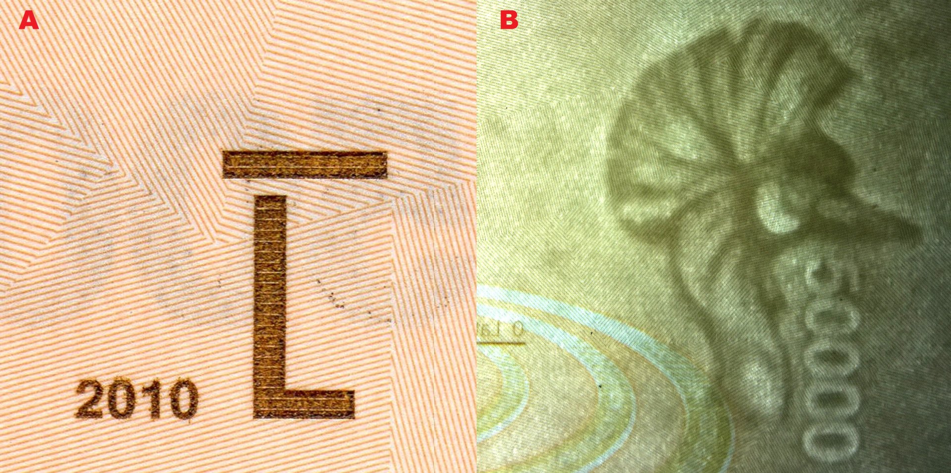 Obrázek 6. A) Pohmatová značka B) Faunistický vodoznak hlavy jeřába královského (Belearica regulorum gibbericeps) a nominál ( elektrotype)