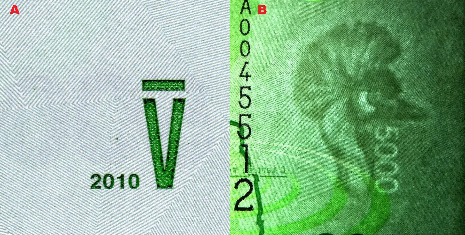 Obrázek 5 A) Pohmatová značka B) Faunistický vodoznak hlavy jeřába královského (Balearica regulorum gibbericeps) a nominál (elektrotype)