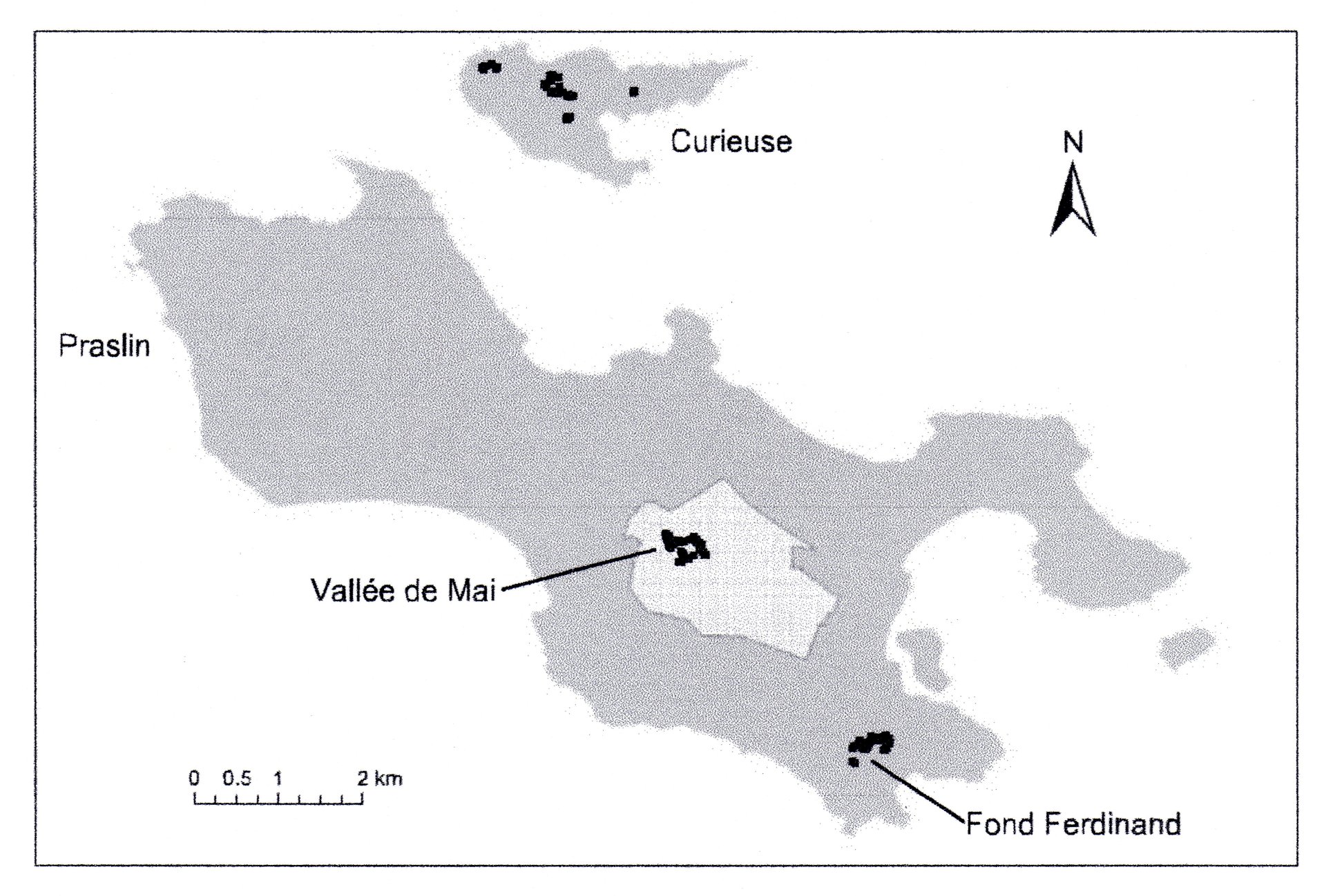 Obr. 6. Lokalizace Lodoicea maldivica na ostrovech Praslin a Curieuse. Převzato z: Frauke Fleischer-Dogley1, Chris J. Kettle2, Peter J. Edwards3, Jaboury Ghazoul2, Kirsti Ma¨a¨tta¨nen2 and Christopher N. Kaiser-Bunbury2,3*: Morphological and genetic diffe