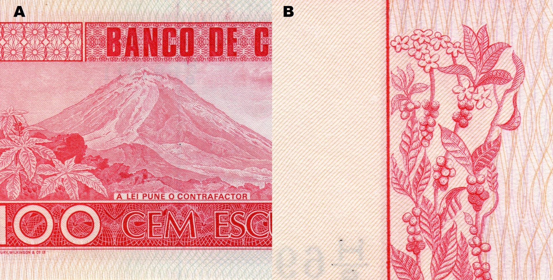 Obr. 4. A) Ústřední motiv reverzu bankovky - pohled na sopku "Pico do Fogo". B) Větvička s listy, květy a postupně dozrávajícími bobulemi kávovníku arabského.