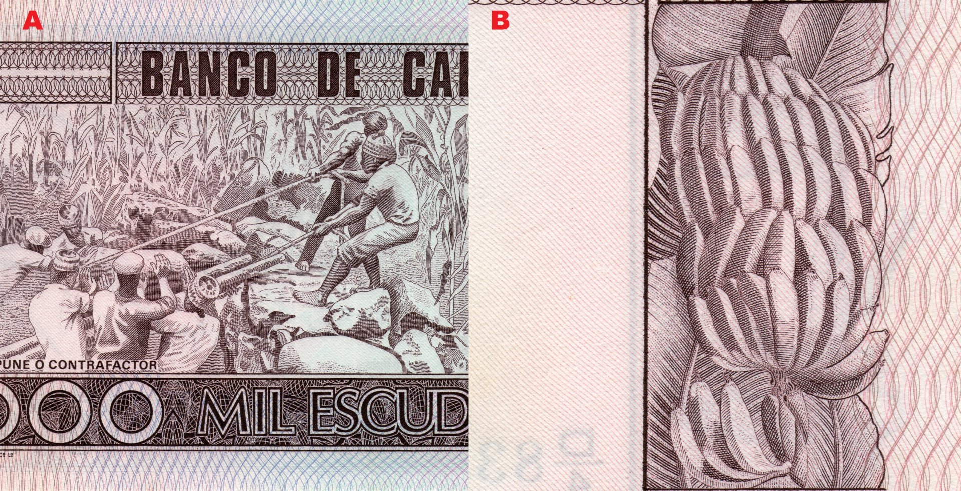 Obr. 4. A) Ústřední motiv reverzu bankovky – pohled na muže stavějící kamenné ohrazení. B) Ovoce banánovníku (Musa).