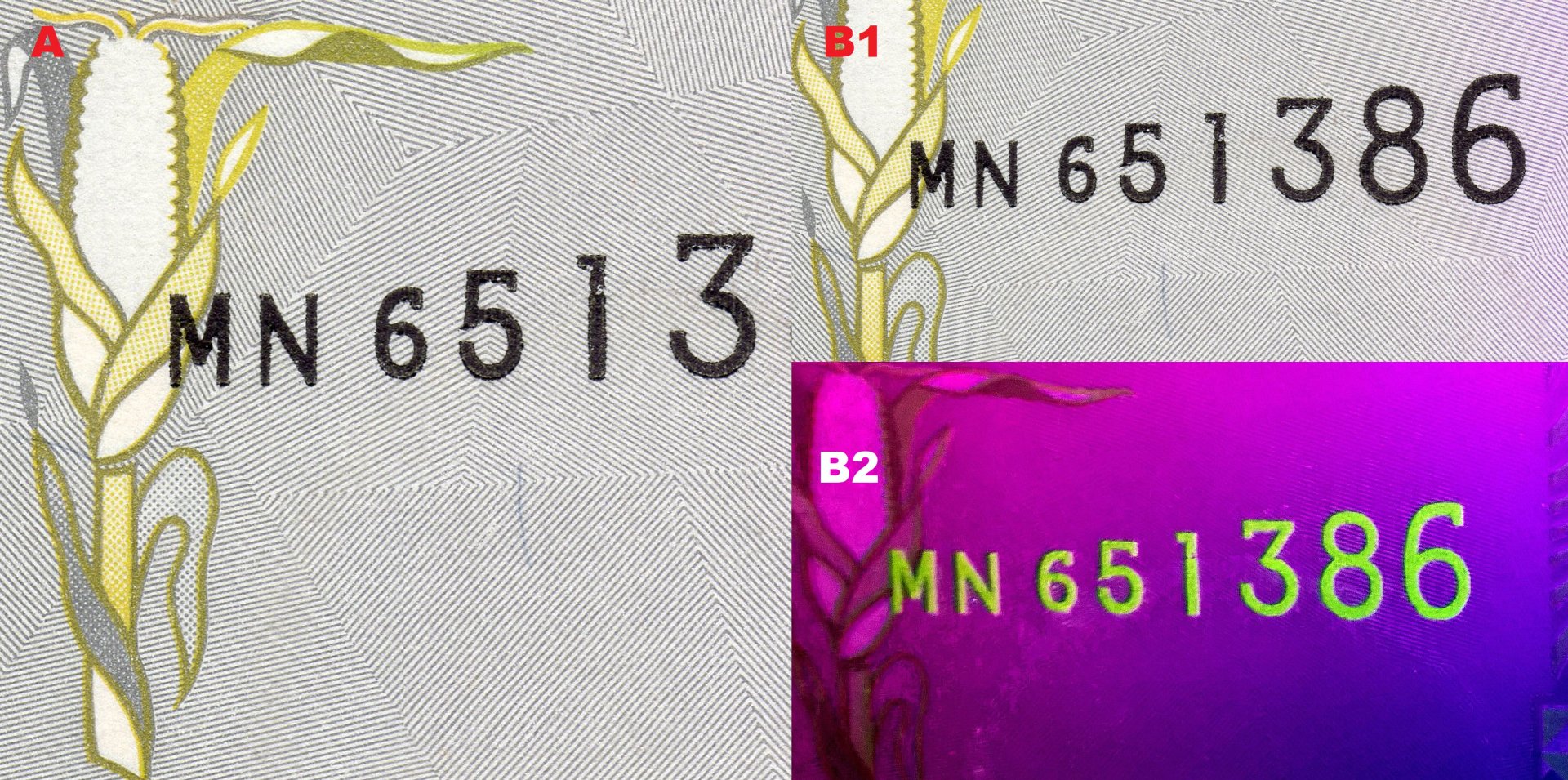 Obr. 1. A) Soutisková značka v podobě klasu kukuřice, v podkladu patrné kárování. B1) Ascendentní sériové číslo. B2) Totéž číslo pod UV nasvícením.