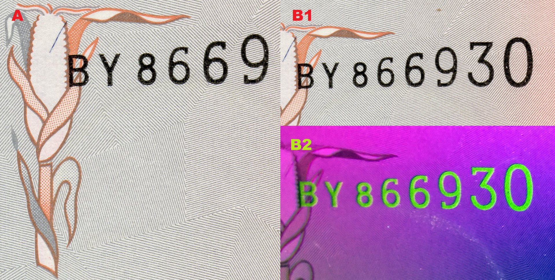 Obr. 1. A) Soutisková značka v podobě klasu kukuřice, v podkladu patrné kárování. B1) Ascendentní sériové číslo. B2) Totéž číslo pod UV nasvícením.