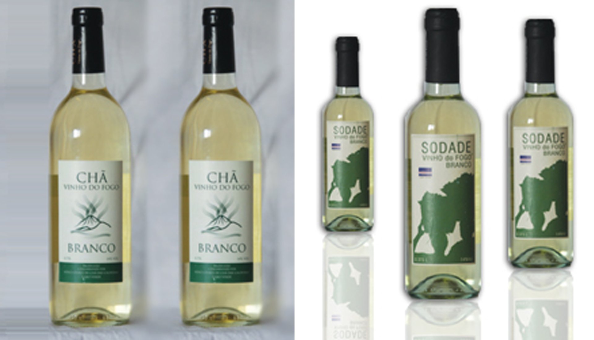 Obr 5 Produkce bílého vína ze soukromého vinařství Eduína Lopese "Sodade" a produkce družstevního vinařství „Chã das Caldeiras“