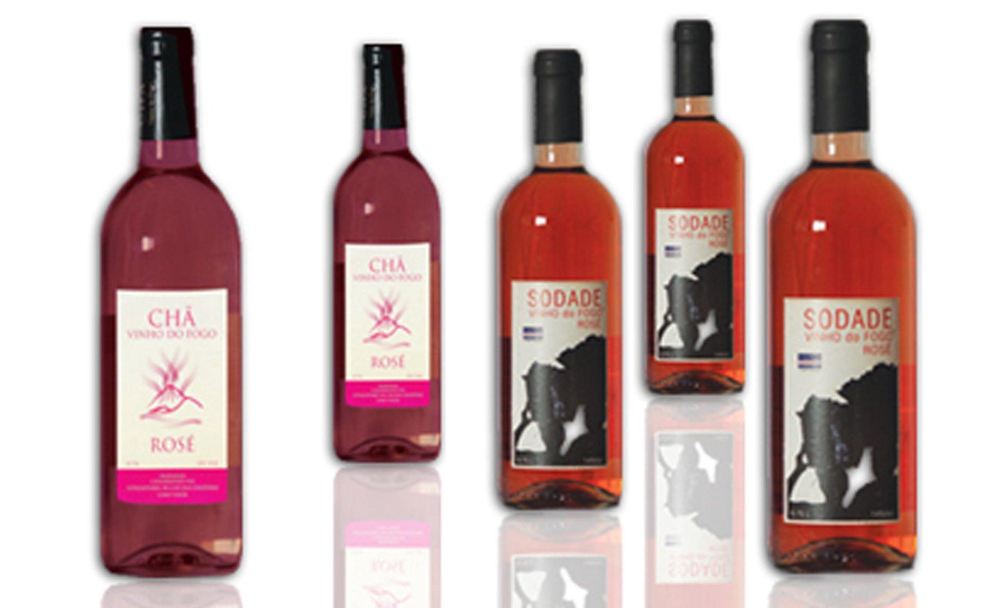 Obr 8 Produkce růžového vína ze soukromého vinařství Eduína Lopese "Sodade" a produkce družstevního vinařství „Chã das Caldeiras“