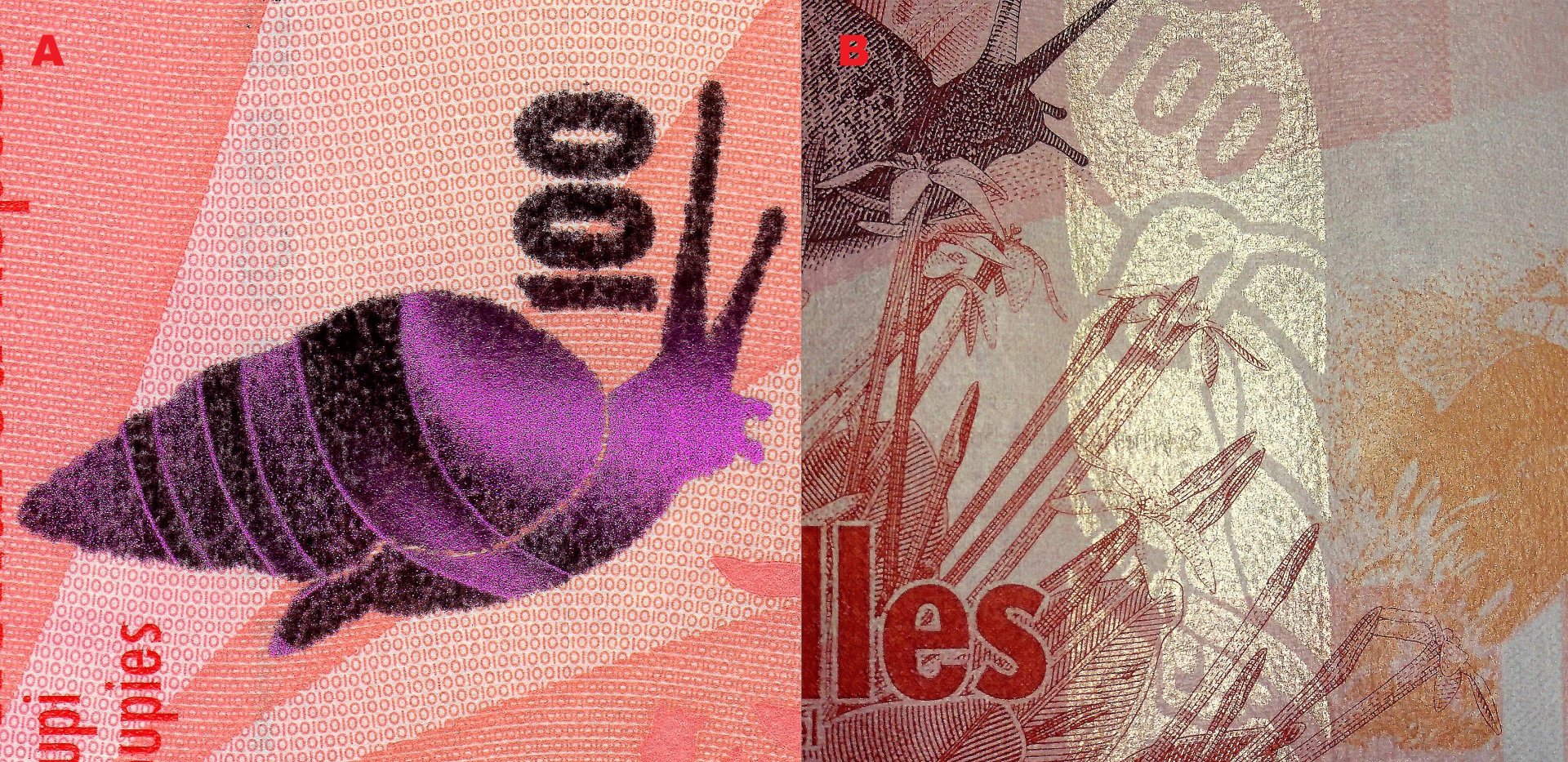 Obr. 7 A) Stylizovaná kresba šneka Rhachistia aldabrae seychelské v levém dolním roku reverzu bankovky P#50 realizovaná v třpytivé metalizaci B) Detail iridiscenčního pruhu s negativním obrazem strdimila a nominální hodnoty „100“.