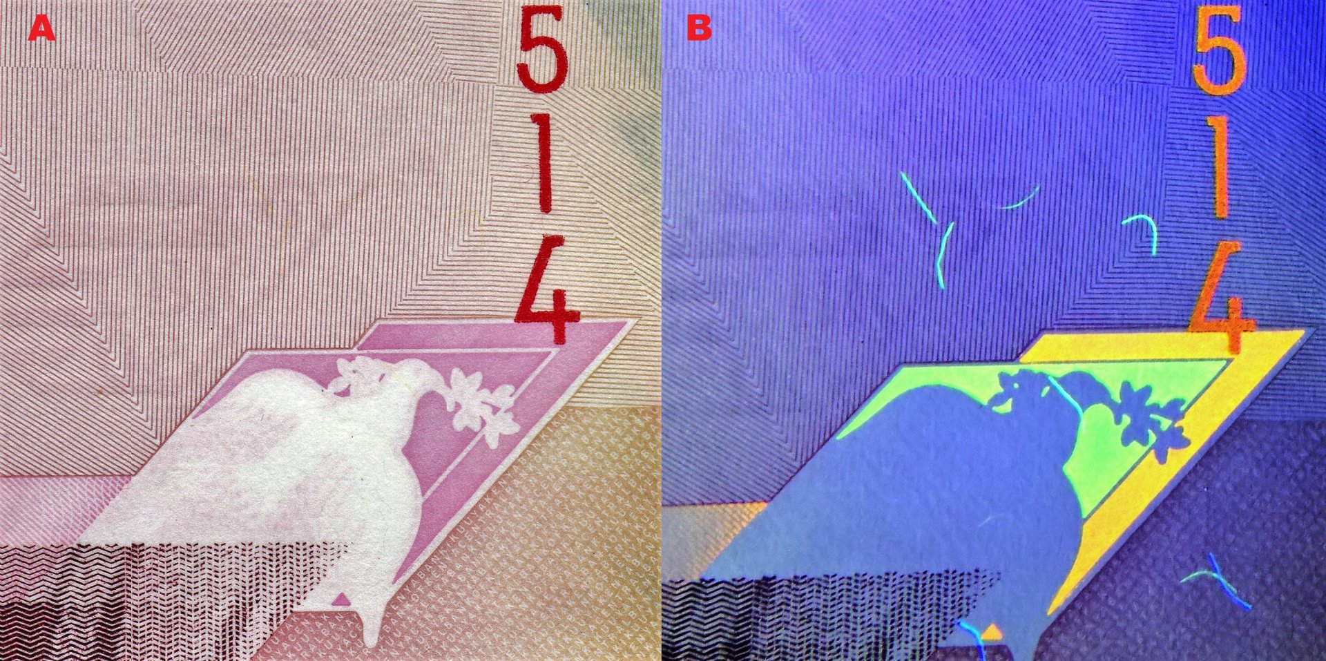 2. A) Dva překrývající se kosodélníky a letící holubice s ratolestí B) tentýž obraz pod UV nasvícením, difuzně jsou patrna UV pozitivní vlákna.