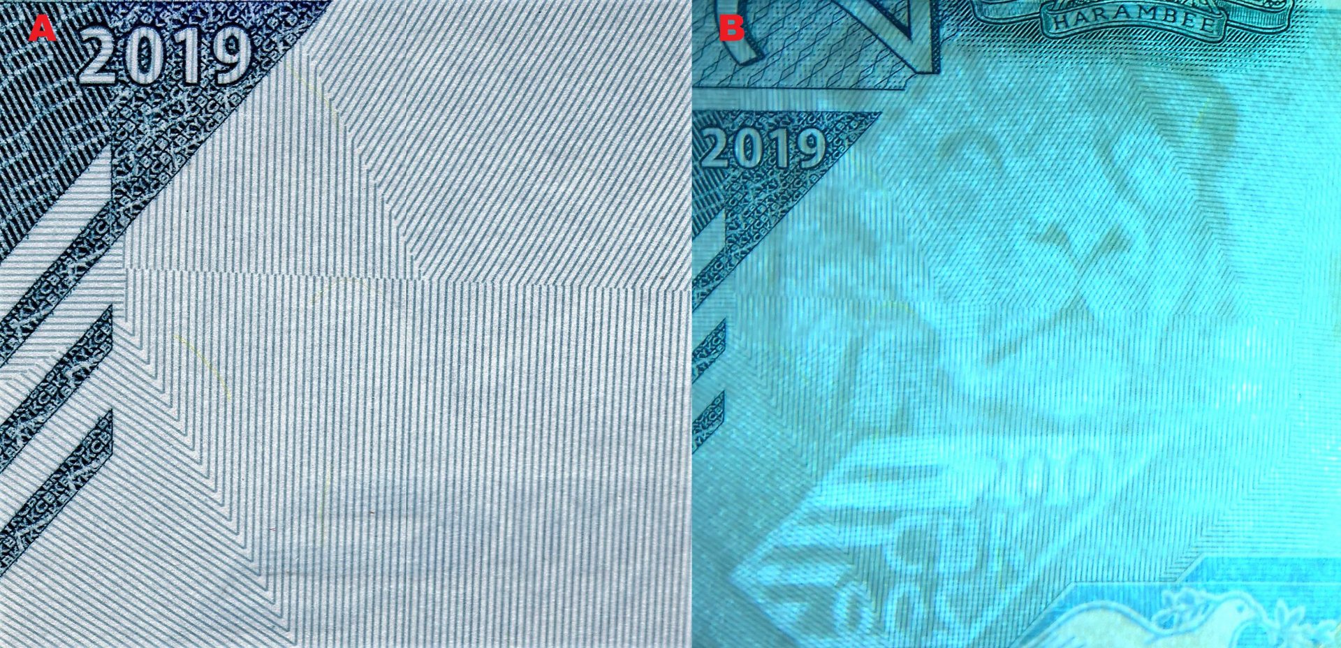 3. Hmatová značka, jejíž plocha je tvořena negativním mikropísmem. B) Nesouhlasný figurální vodoznak čelně hledícího lva (FIWg2, Fa)s elektrotypem nominálu a akronymu „CBK“.